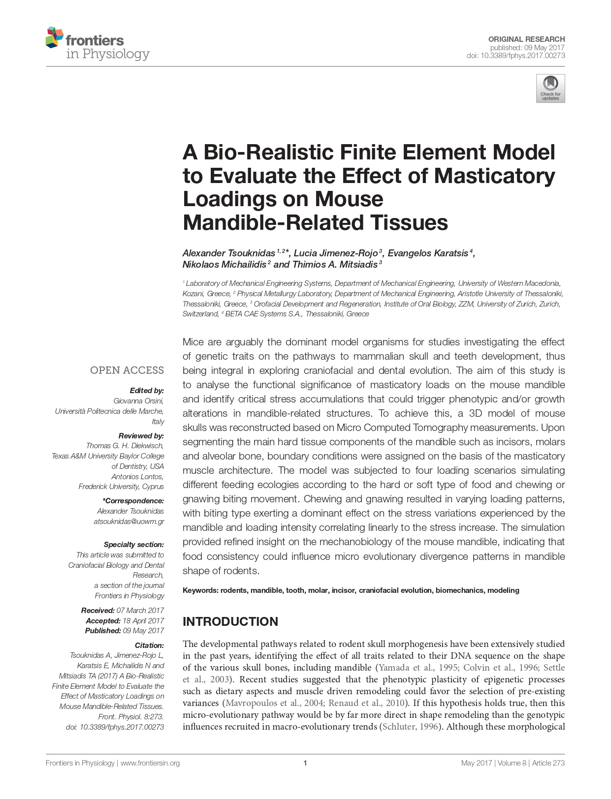 A bio-realistic finite element model to evaluate the effect of masticatory loadings on mouse mandible-related tissues